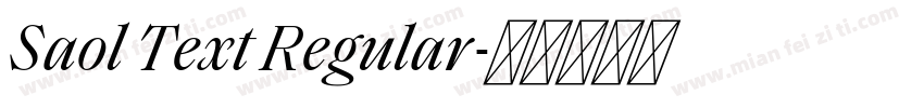 Saol Text Regular字体转换